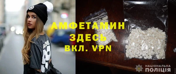 индика Зеленодольск