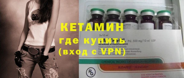 индика Зеленодольск