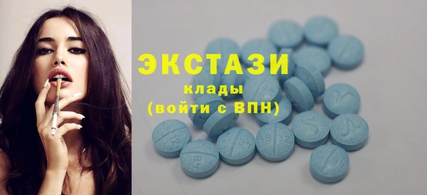 индика Зеленодольск