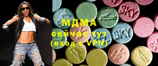 индика Зеленодольск