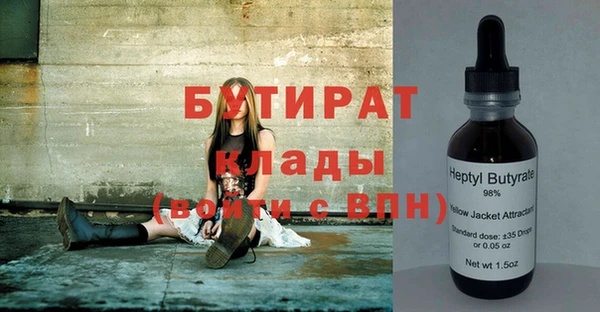 индика Зеленодольск