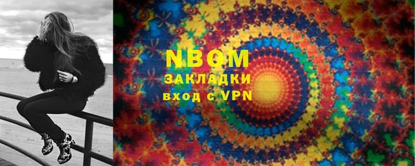 индика Зеленодольск