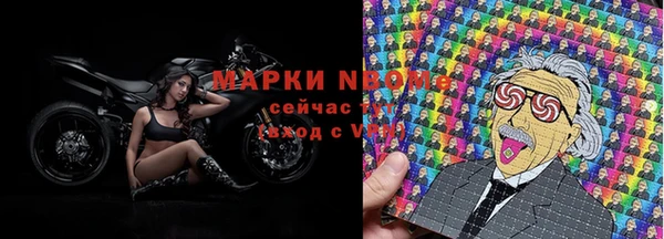 индика Зеленодольск