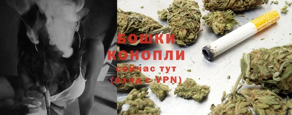индика Зеленодольск