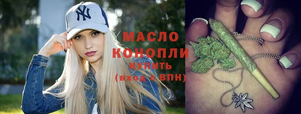 индика Зеленодольск