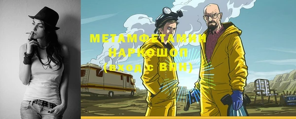 индика Зеленодольск