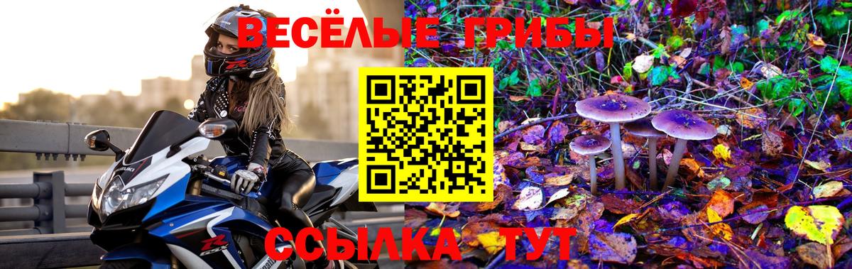 Псилоцибиновые грибы MAGIC MUSHROOMS  Вход с VPN  Прохладный 